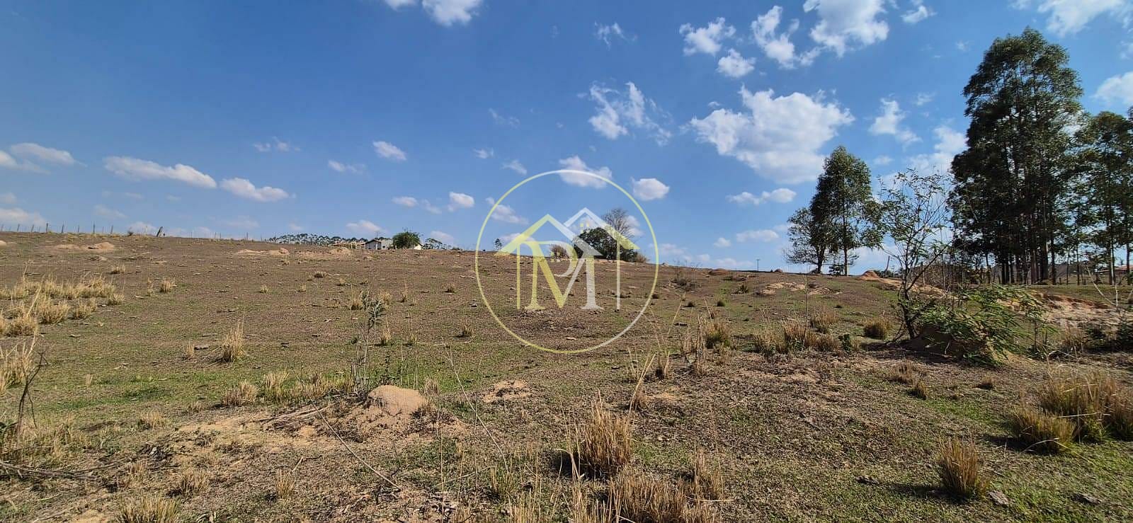 Sítio, 4 quartos, 6 hectares - Foto 21