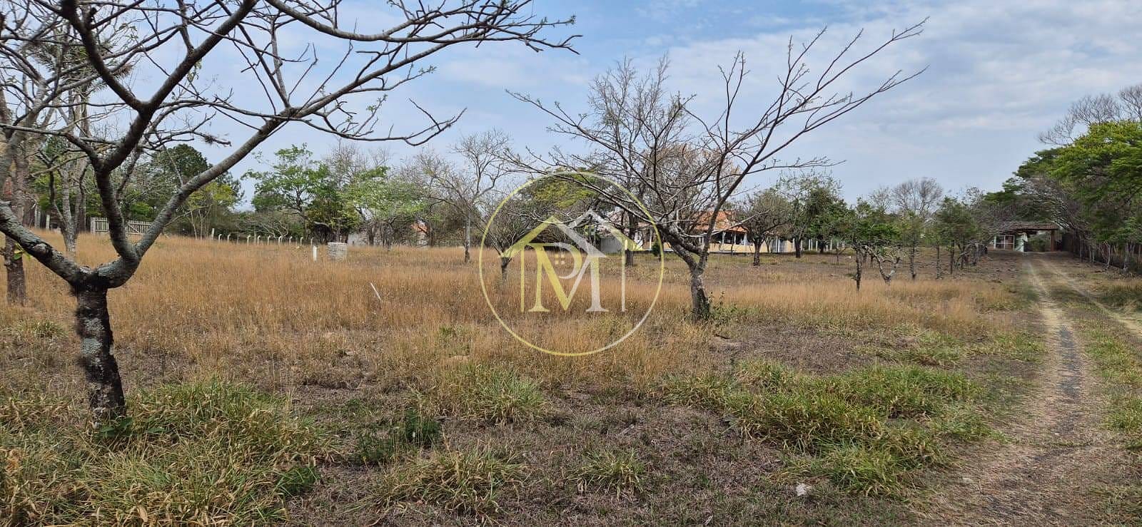 Chácara, 3 quartos, 2 hectares - Foto 3