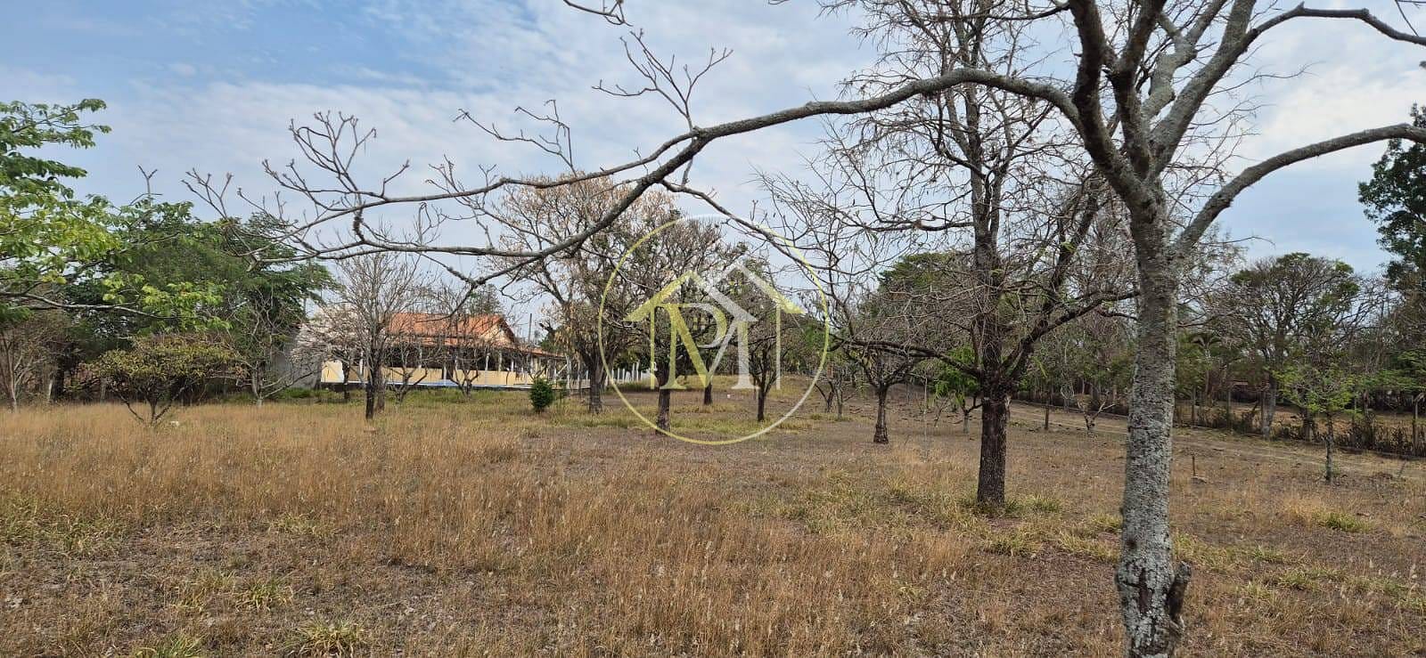 Chácara, 3 quartos, 2 hectares - Foto 4