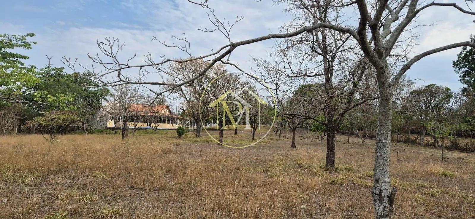 Chácara, 3 quartos, 2 hectares - Foto 4