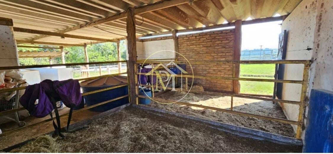 Sítio, 8 quartos, 25 hectares - Foto 25