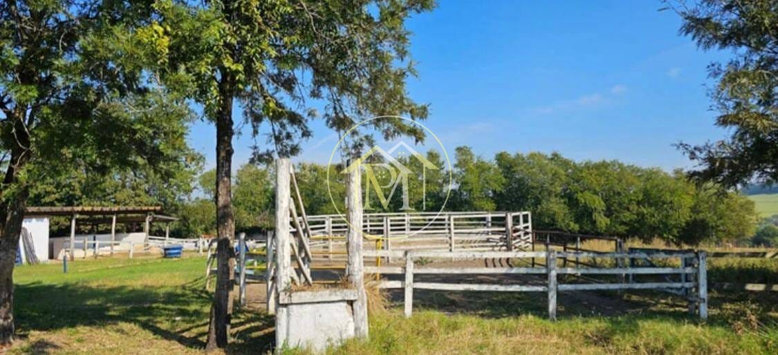 Sítio, 8 quartos, 25 hectares - Foto 21