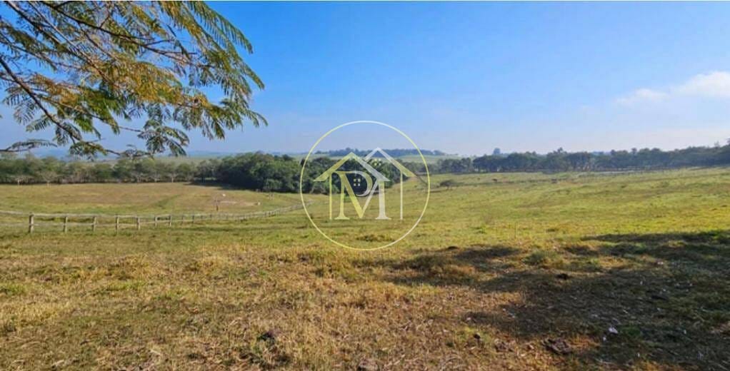 Sítio, 8 quartos, 25 hectares - Foto 19