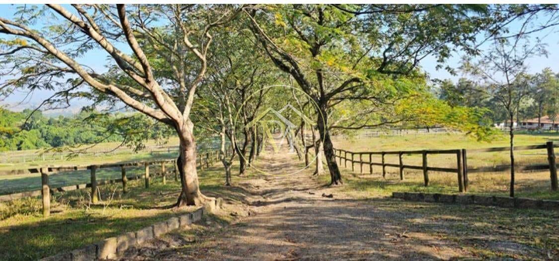 Sítio, 8 quartos, 25 hectares - Foto 22