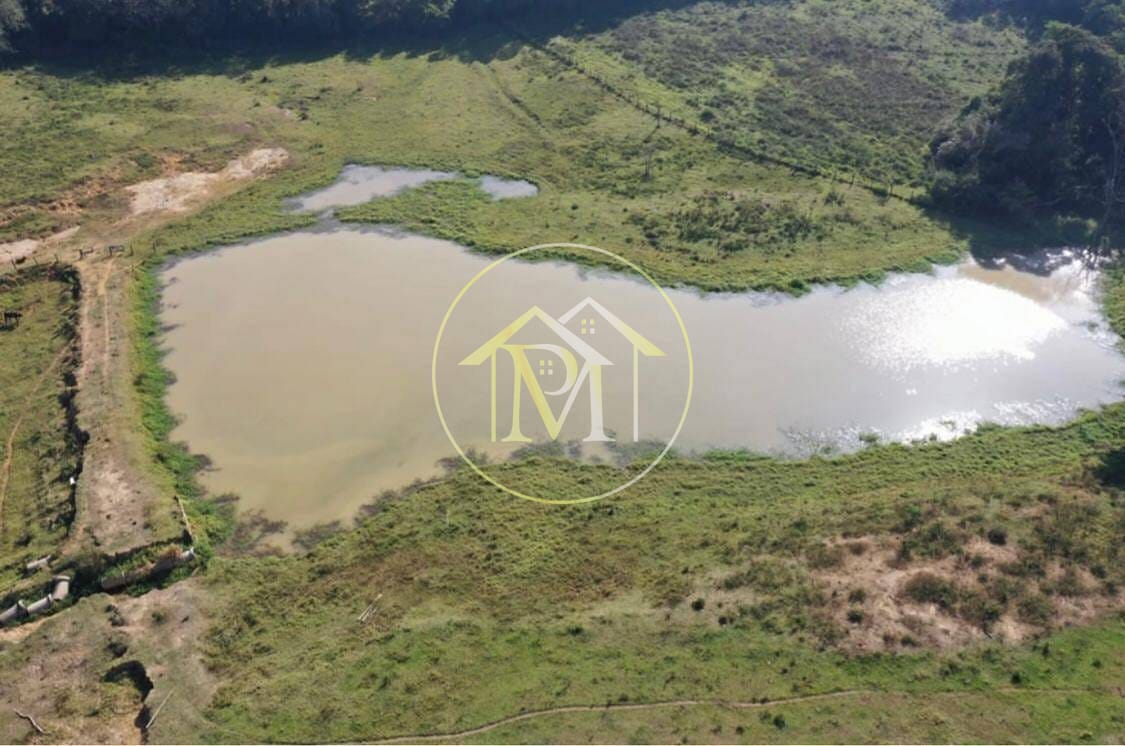 Sítio, 8 quartos, 25 hectares - Foto 10