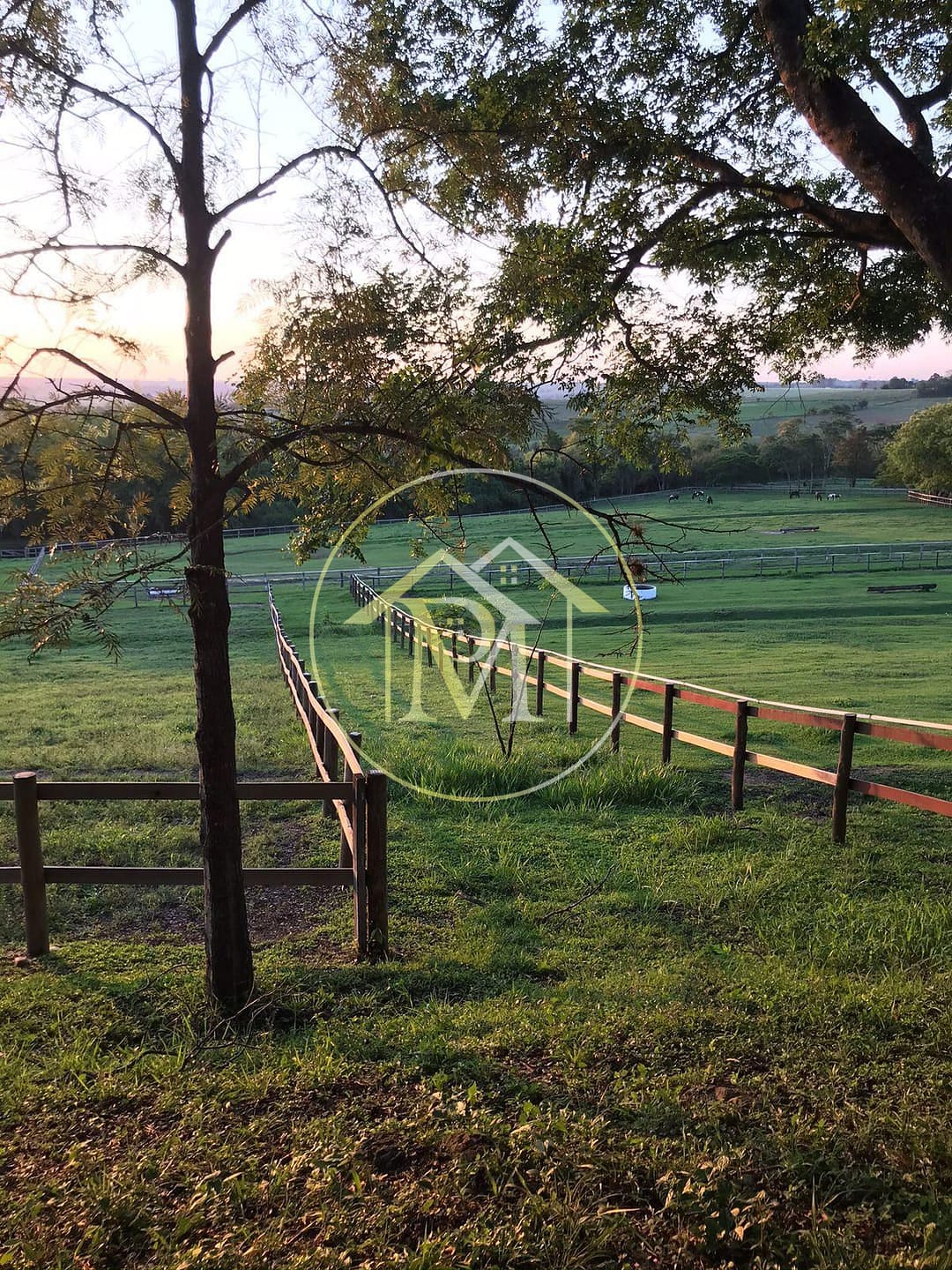 Sítio, 8 quartos, 25 hectares - Foto 30