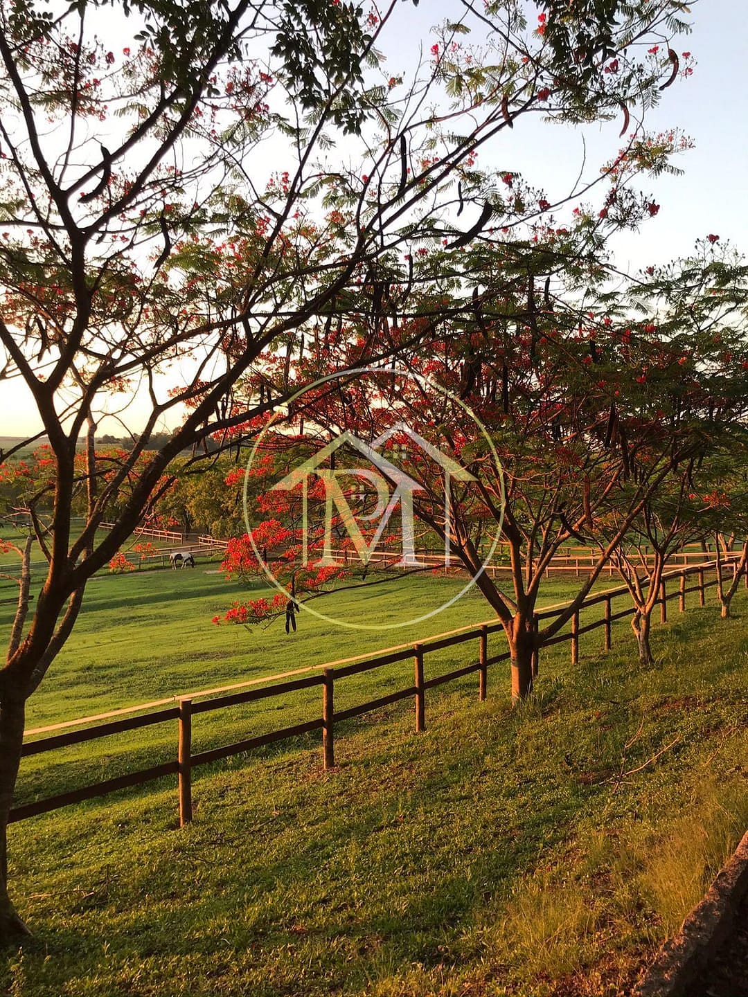 Sítio, 8 quartos, 25 hectares - Foto 31