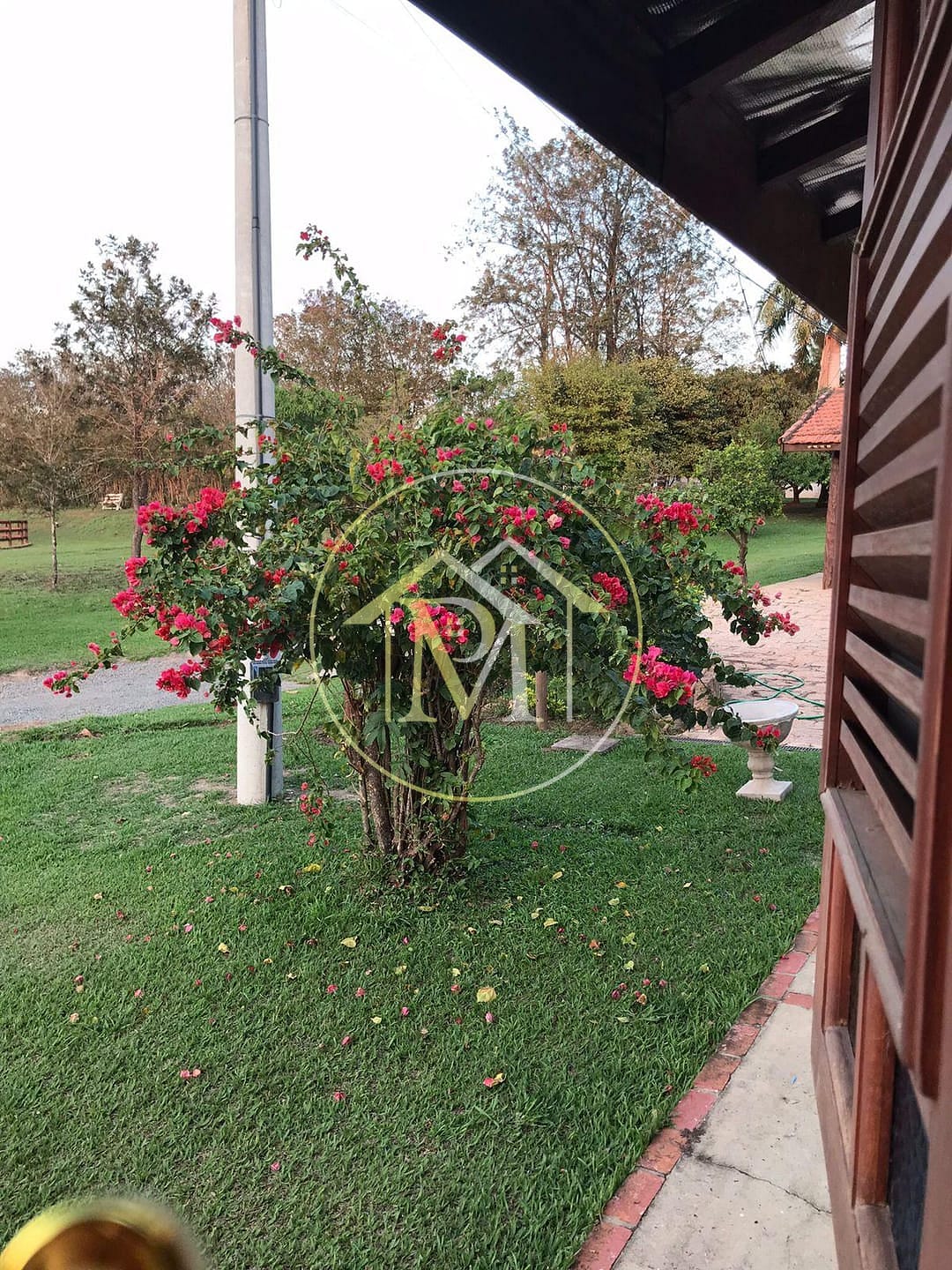 Sítio, 8 quartos, 25 hectares - Foto 33