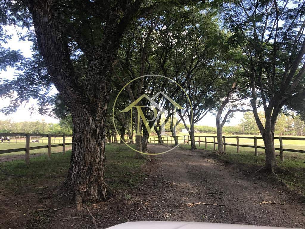 Sítio, 8 quartos, 25 hectares - Foto 38