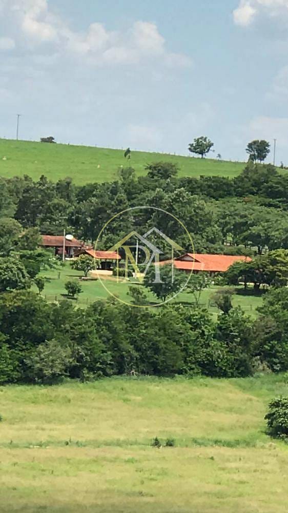 Sítio, 8 quartos, 25 hectares - Foto 43