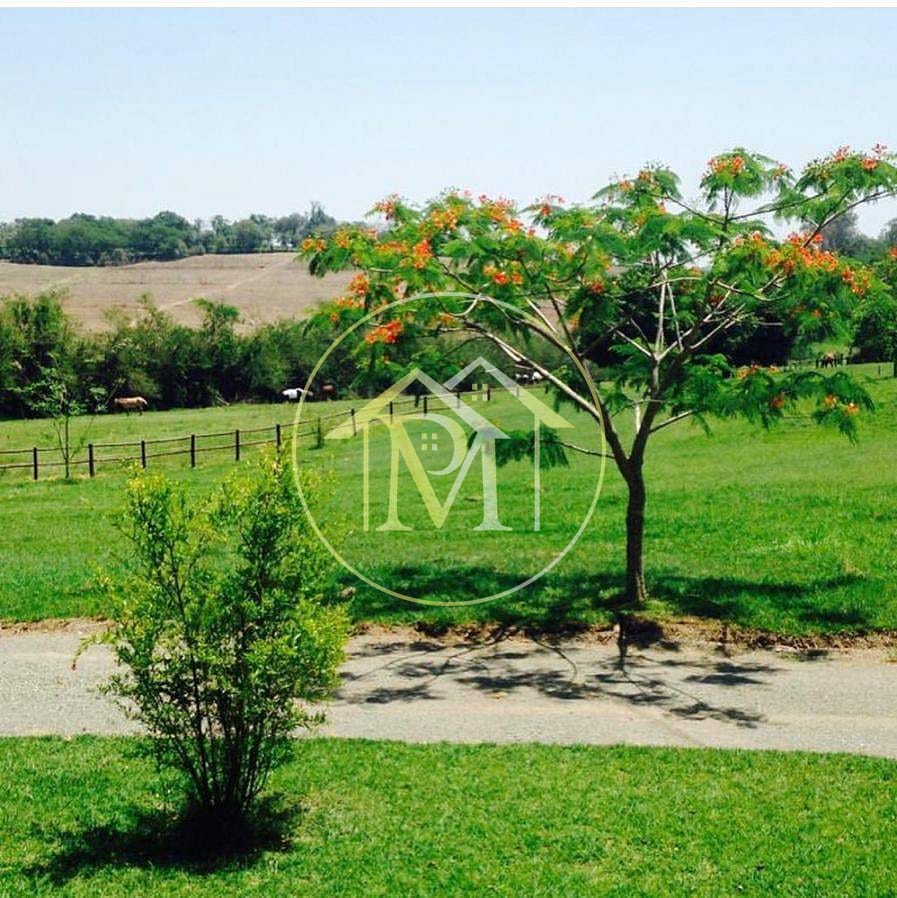 Sítio, 8 quartos, 25 hectares - Foto 51