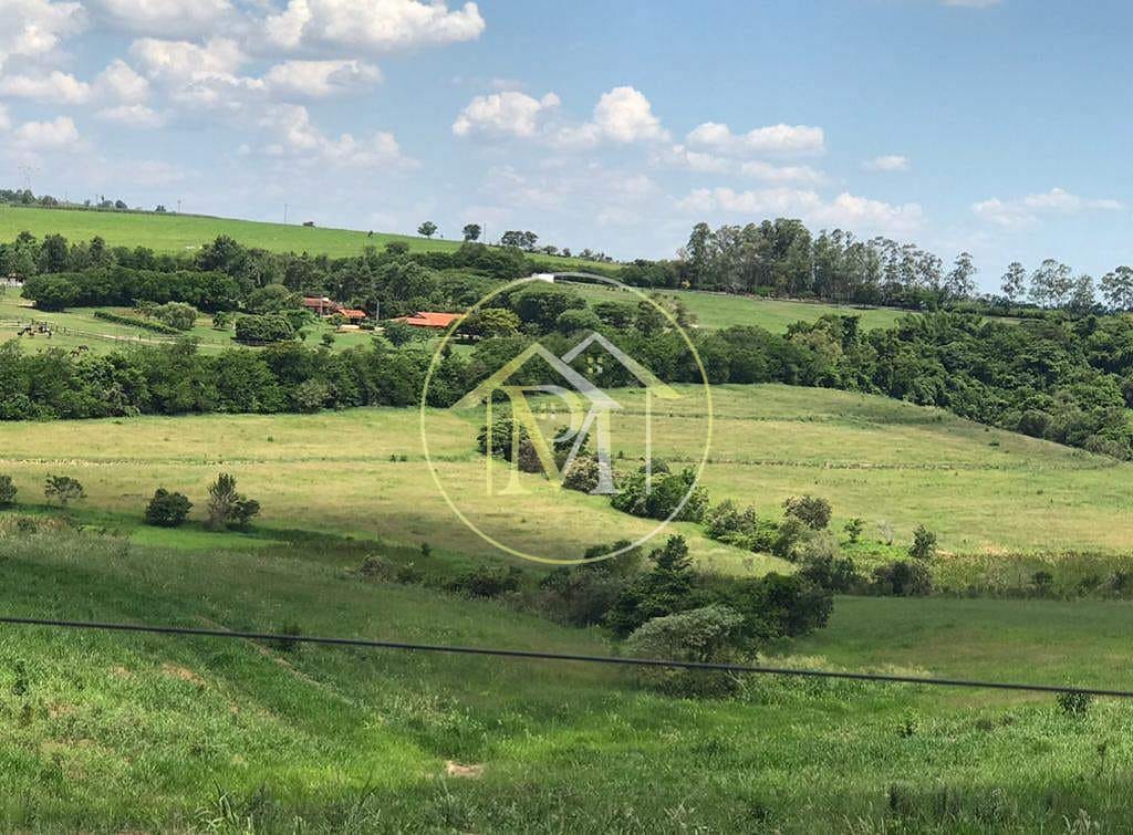 Sítio, 8 quartos, 25 hectares - Foto 54