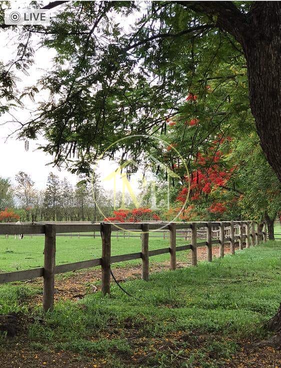 Sítio, 8 quartos, 25 hectares - Foto 56