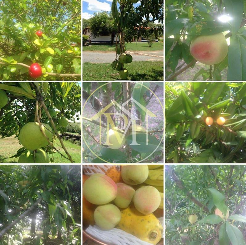 Sítio, 8 quartos, 25 hectares - Foto 57