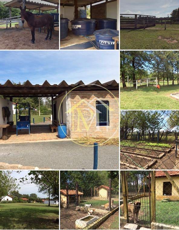 Sítio, 8 quartos, 25 hectares - Foto 60