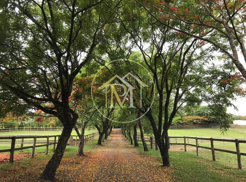 Sítio, 8 quartos, 25 hectares - Foto 61