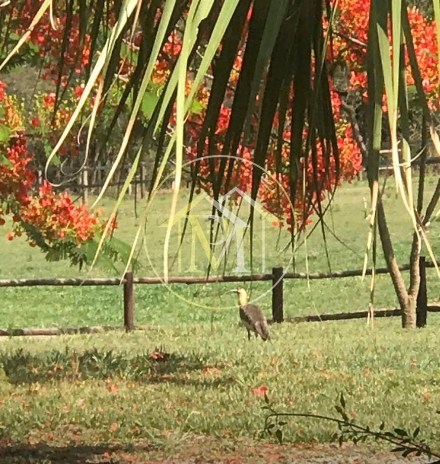 Sítio, 8 quartos, 25 hectares - Foto 62