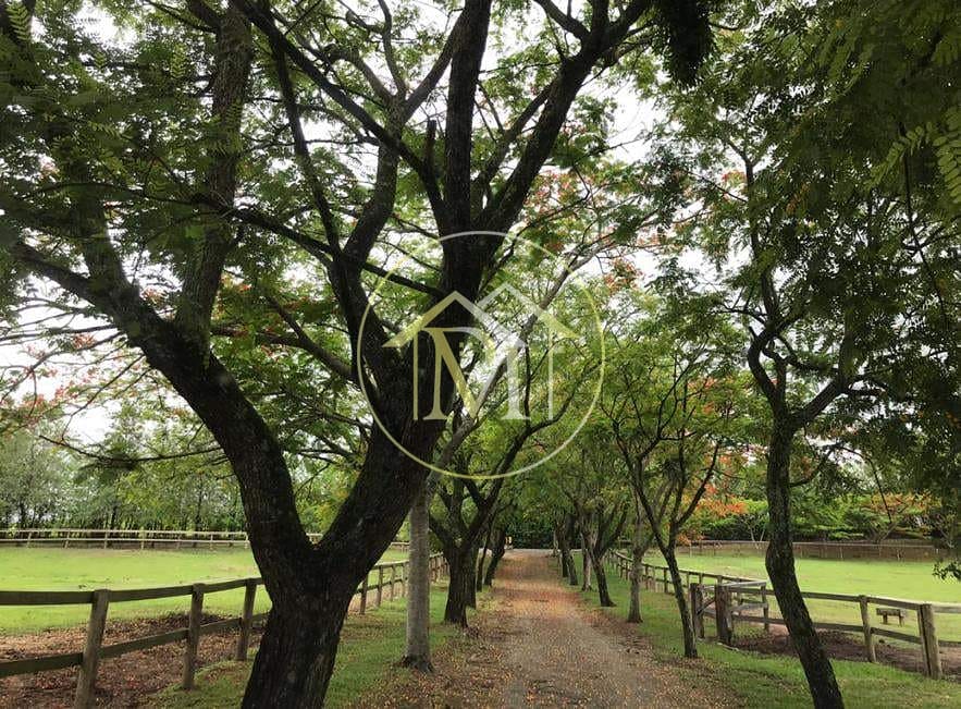 Sítio, 8 quartos, 25 hectares - Foto 66