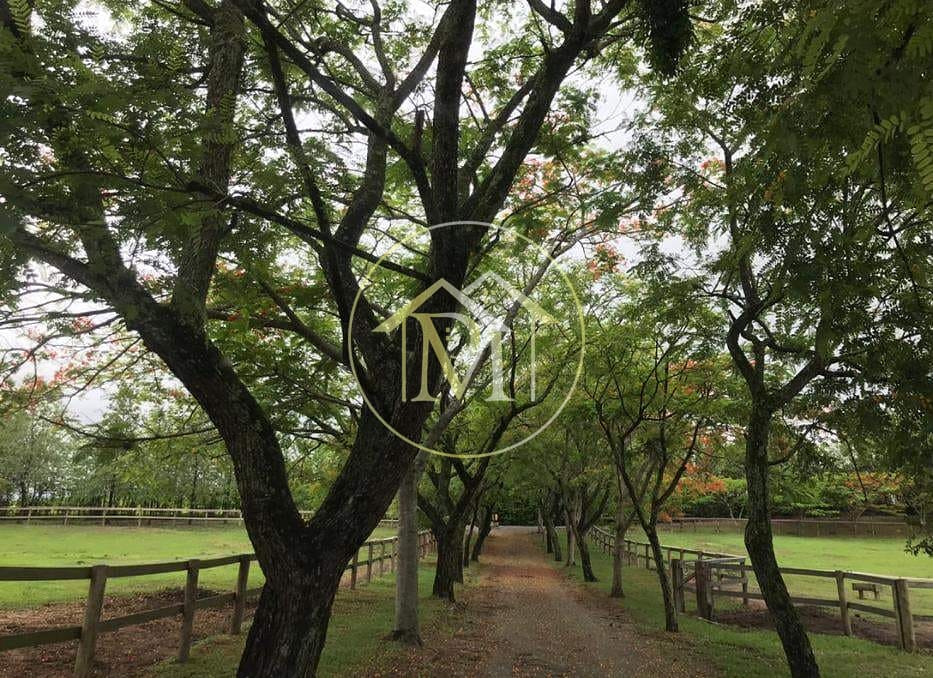 Sítio, 8 quartos, 25 hectares - Foto 67