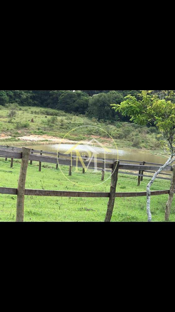 Sítio, 8 quartos, 25 hectares - Foto 74