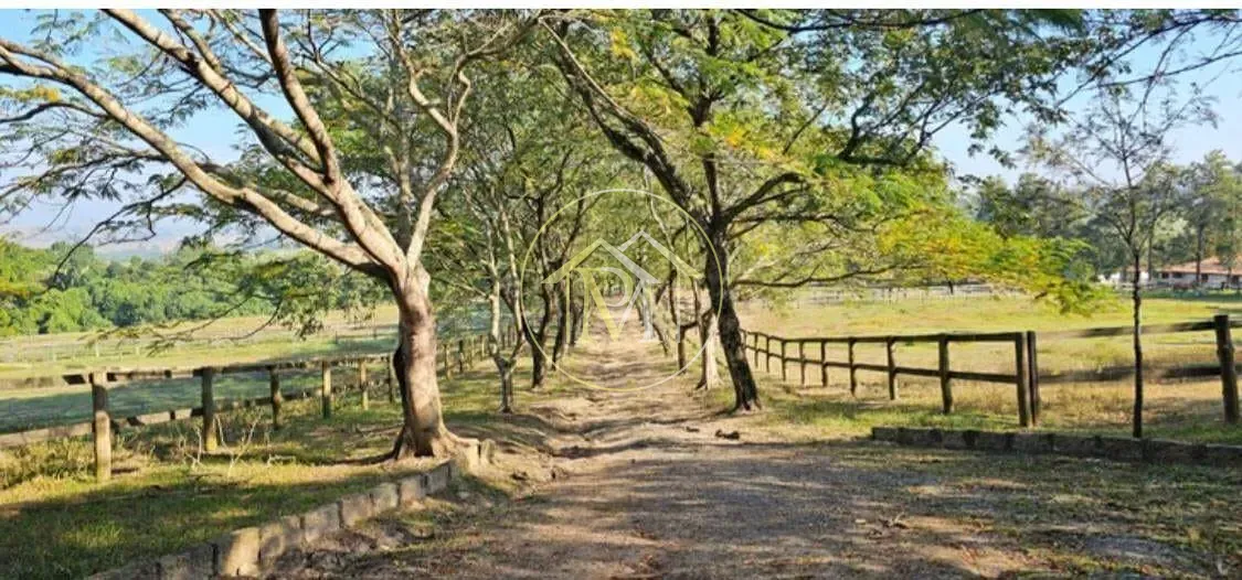 Sítio, 8 quartos, 25 hectares - Foto 22