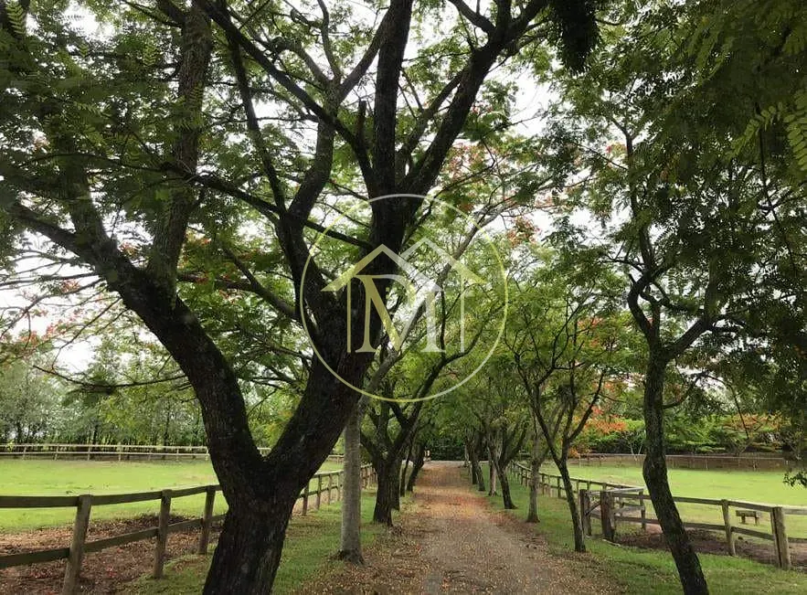 Sítio, 8 quartos, 25 hectares - Foto 66