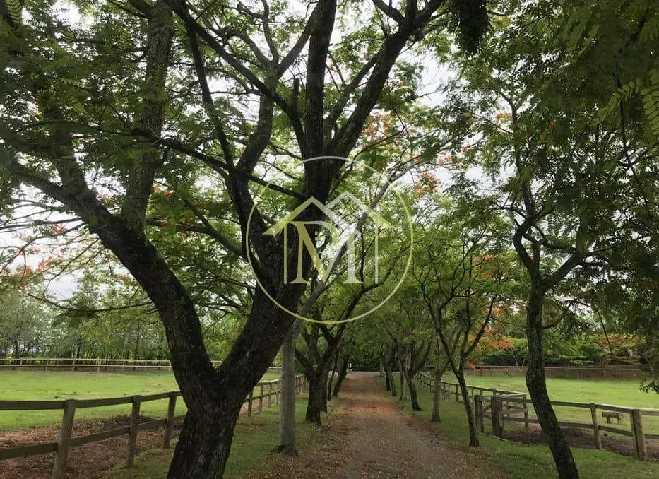 Sítio, 8 quartos, 25 hectares - Foto 67