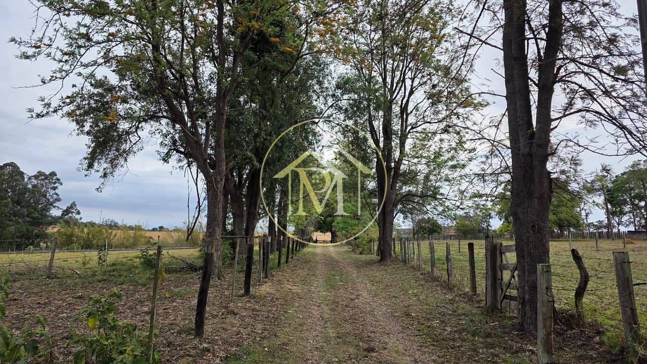 Sítio, 3 quartos, 22 hectares - Foto 1