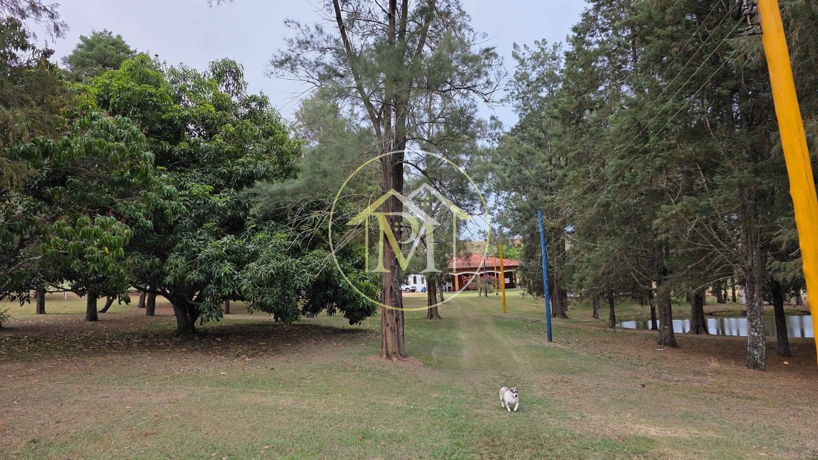 Sítio, 3 quartos, 22 hectares - Foto 6