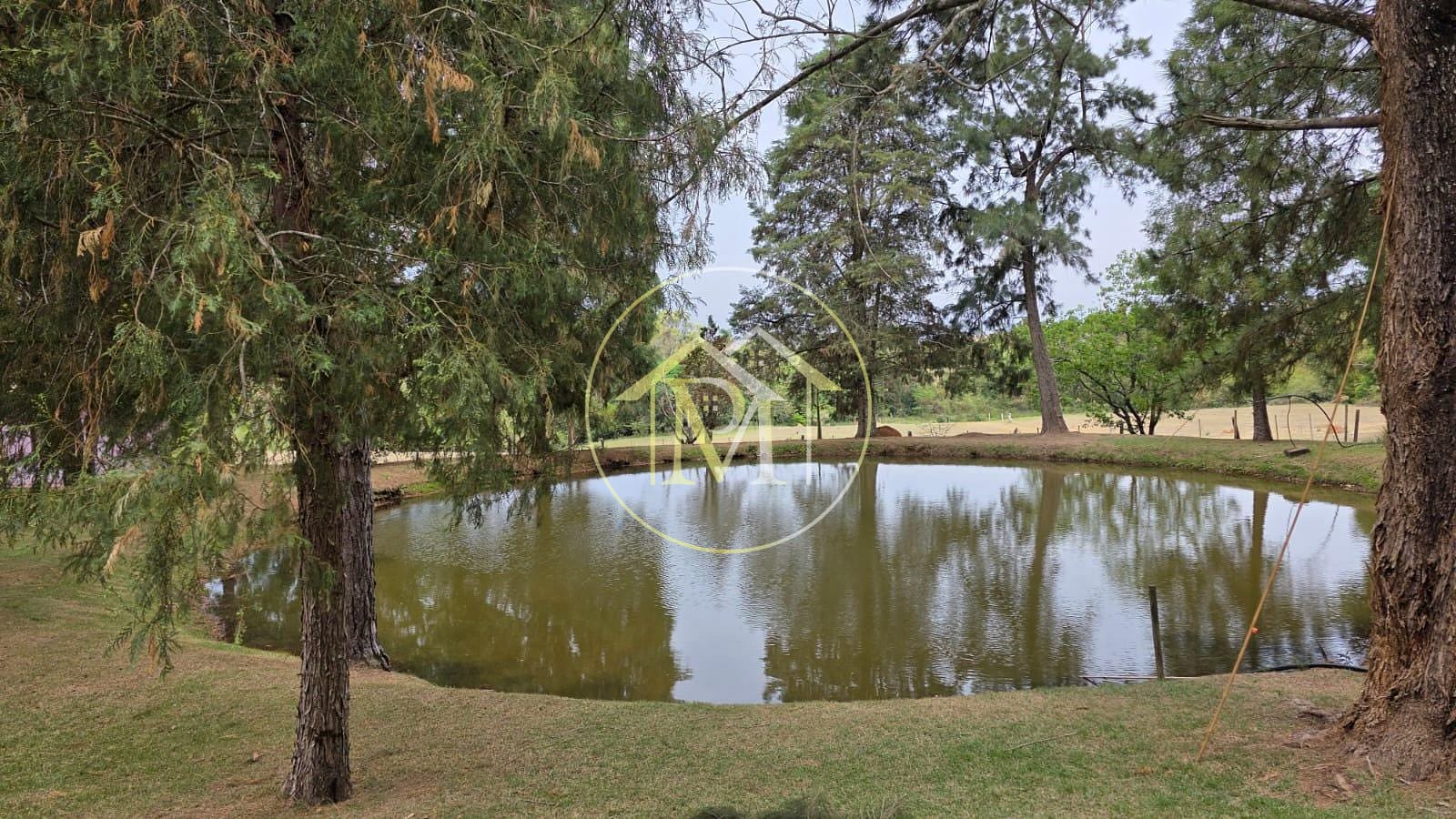 Sítio, 3 quartos, 22 hectares - Foto 23