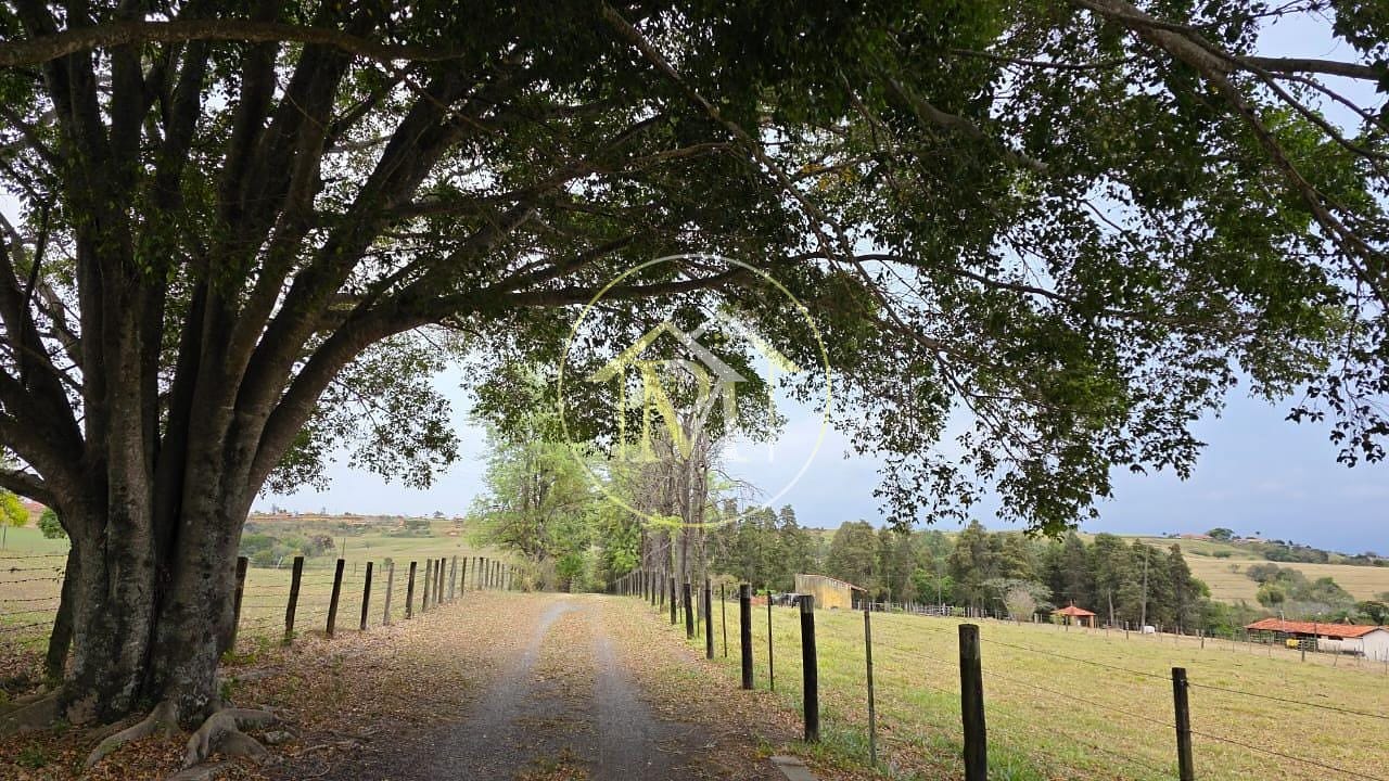 Sítio, 3 quartos, 22 hectares - Foto 27