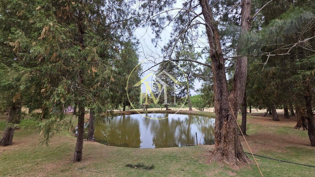 Sítio, 3 quartos, 22 hectares - Foto 28