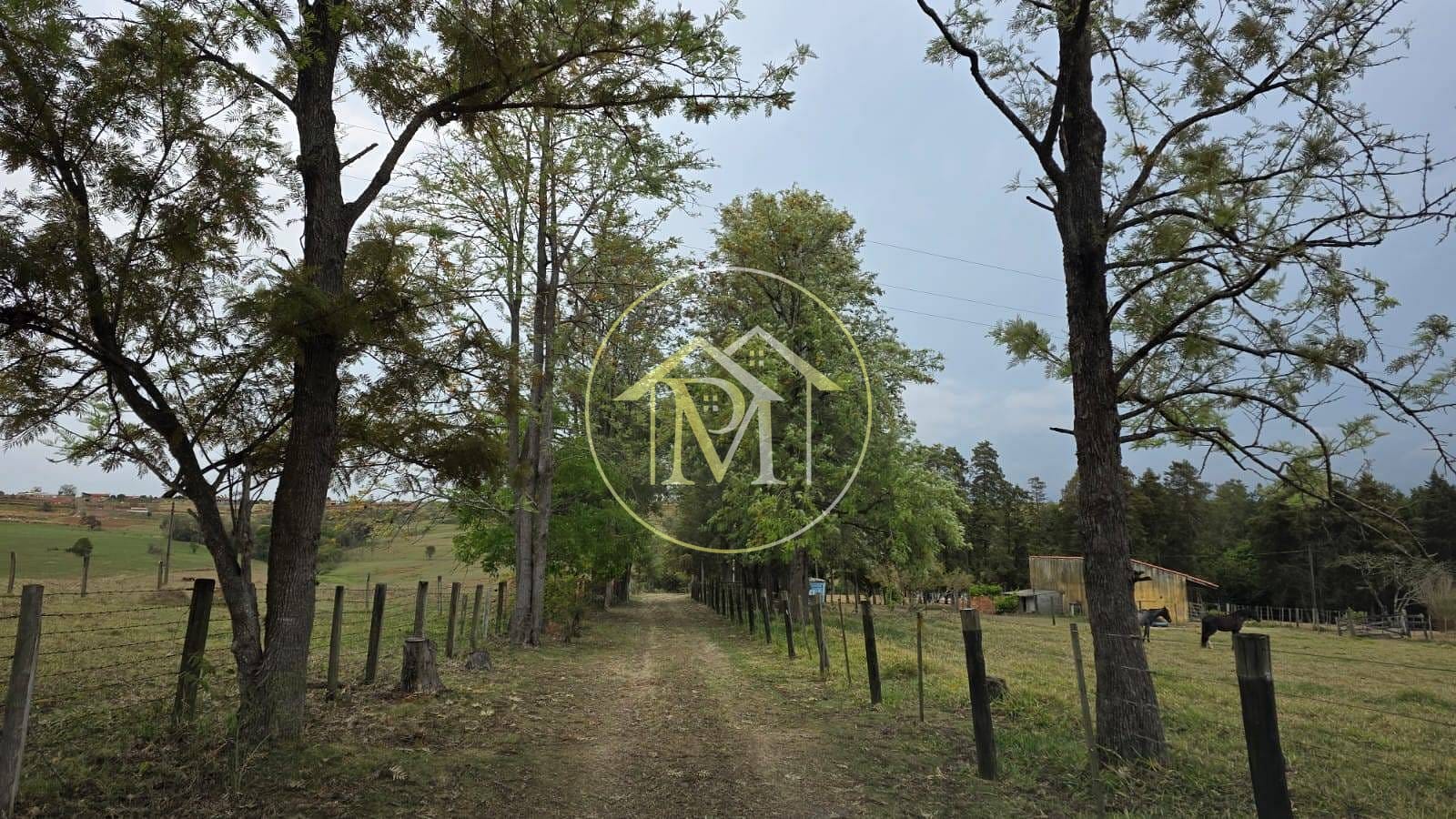 Sítio, 3 quartos, 22 hectares - Foto 32