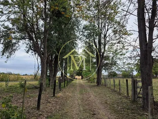 Sítio com 220000m² 3 quartos e 2 banheiros, à venda, no bairro Centro em Itapetininga