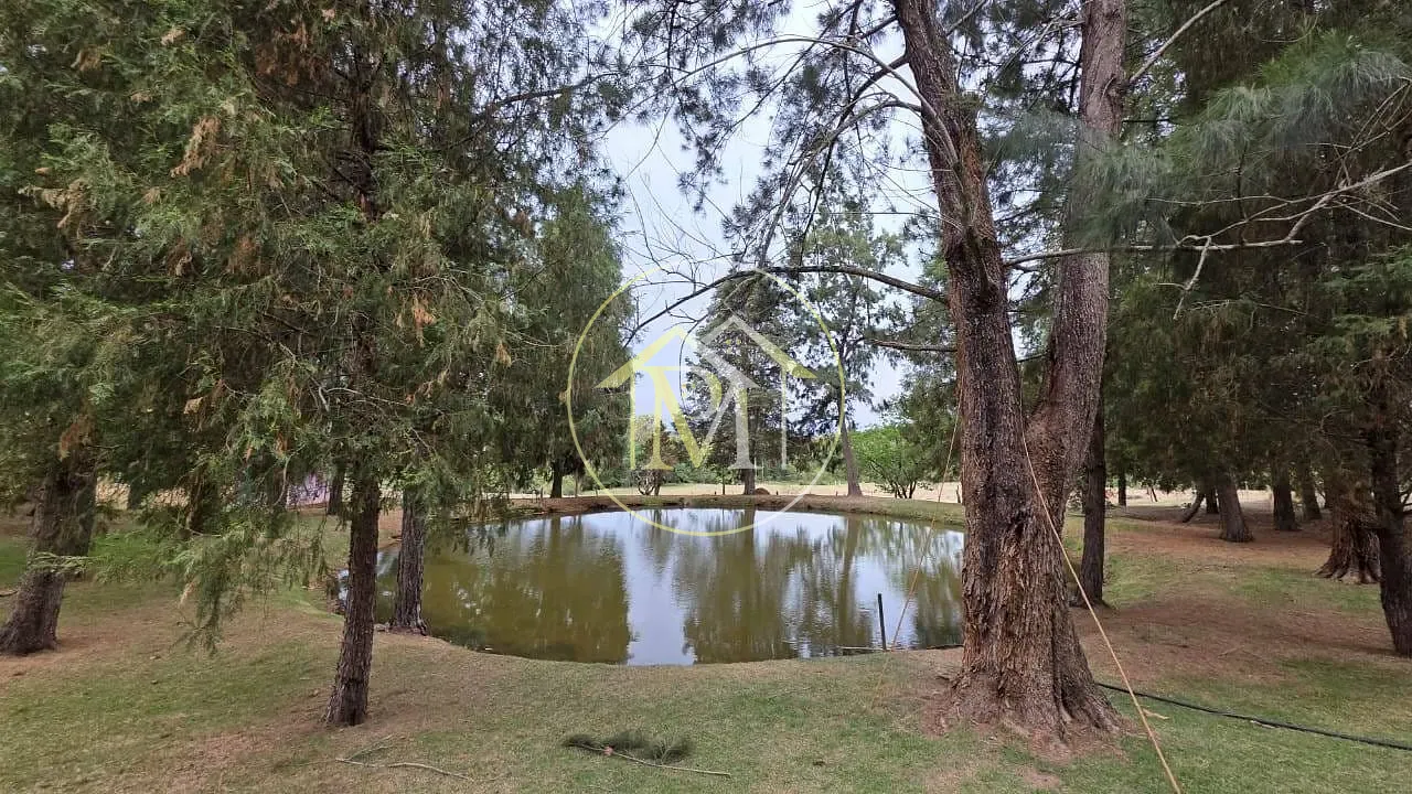 Sítio, 3 quartos, 22 hectares - Foto 28
