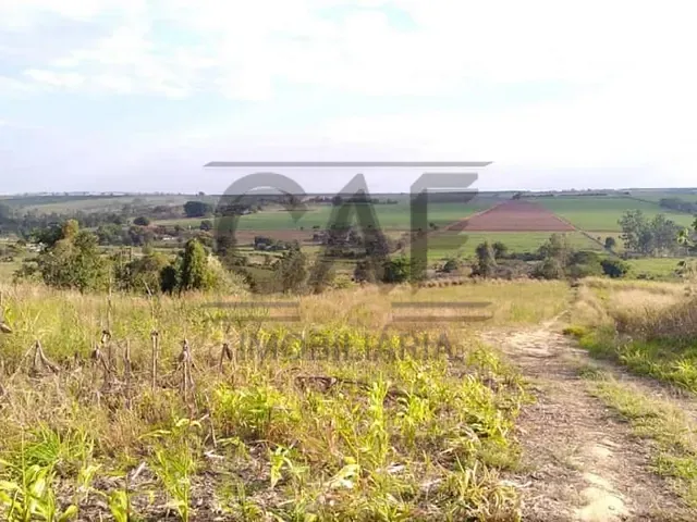 Sítio com 280000m², à venda, no bairro Área Rural em Mogi Mirim