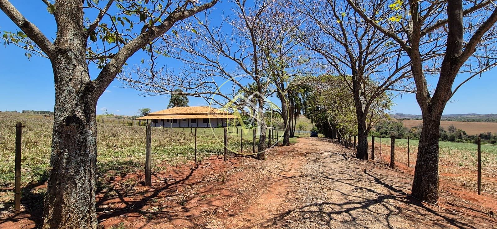Fazenda, 29 hectares - Foto 4