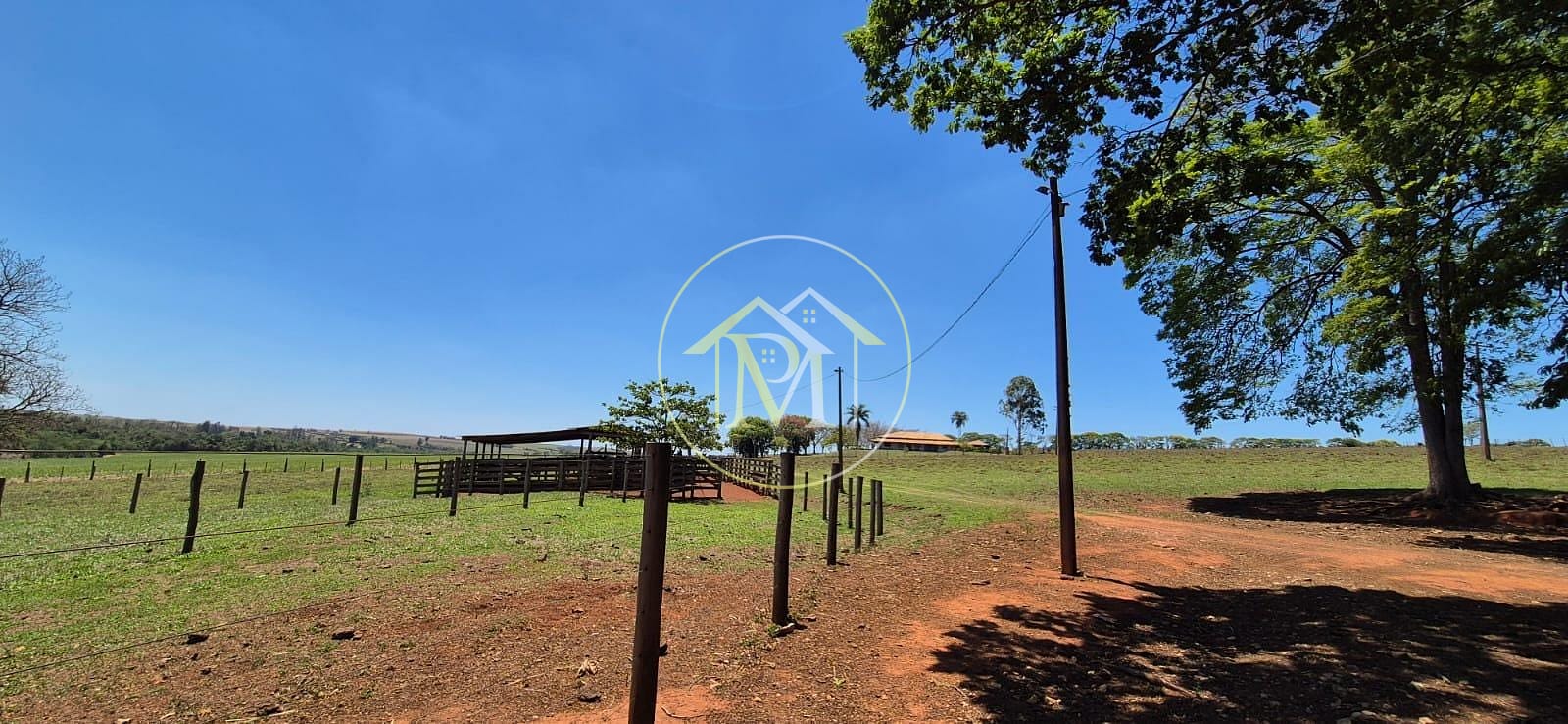 Fazenda, 29 hectares - Foto 10