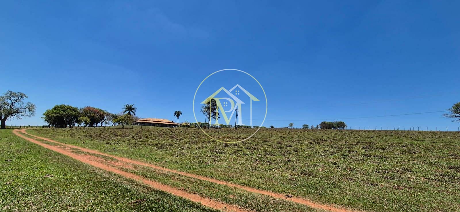 Fazenda, 29 hectares - Foto 19