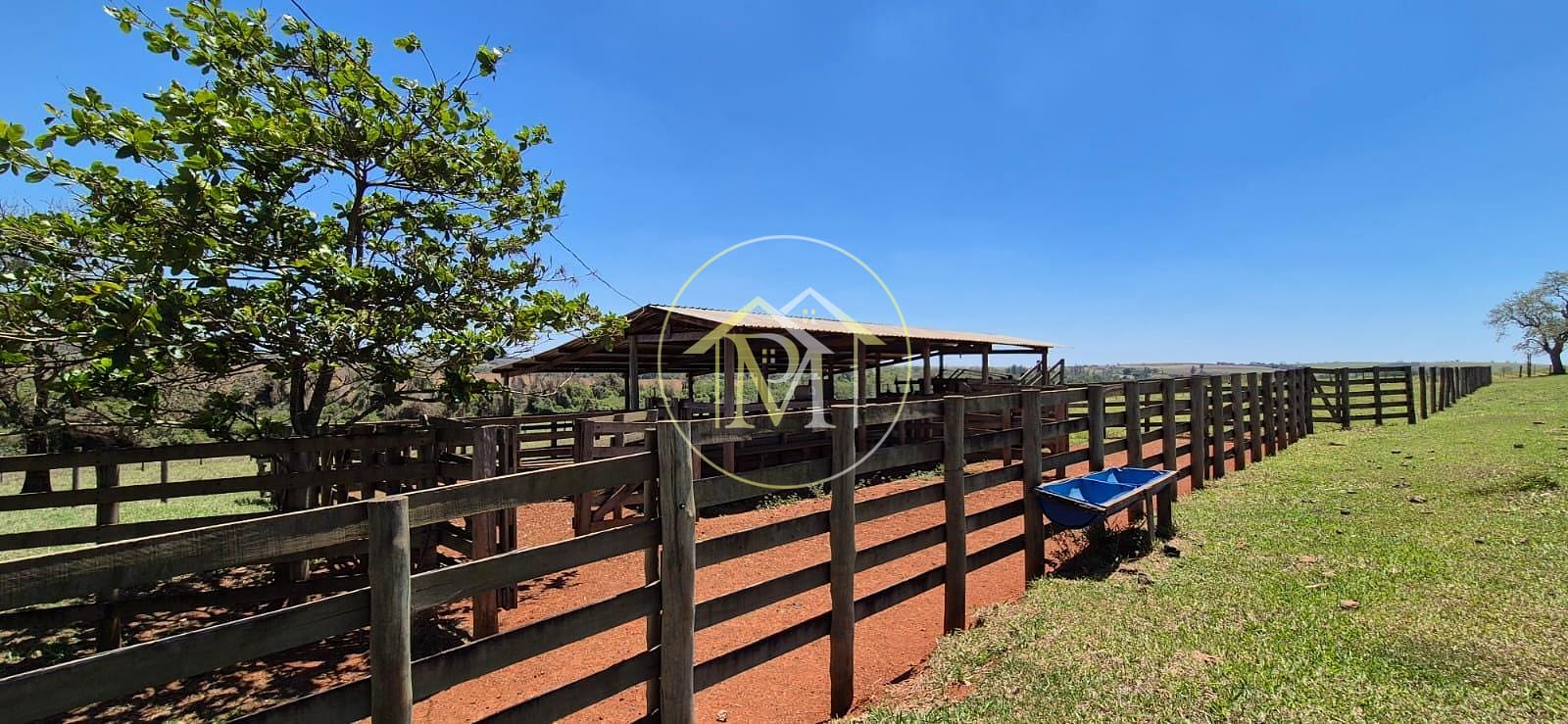 Fazenda, 29 hectares - Foto 27