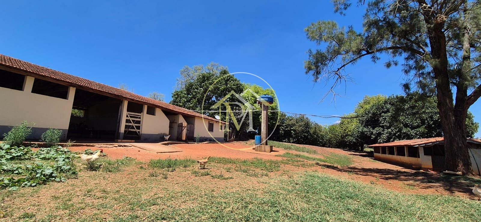 Fazenda, 29 hectares - Foto 35