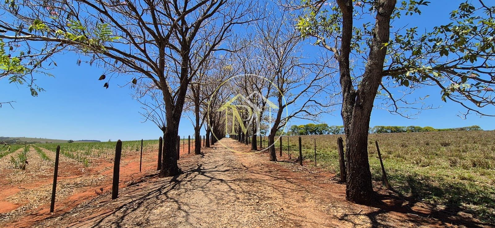 Fazenda, 29 hectares - Foto 36