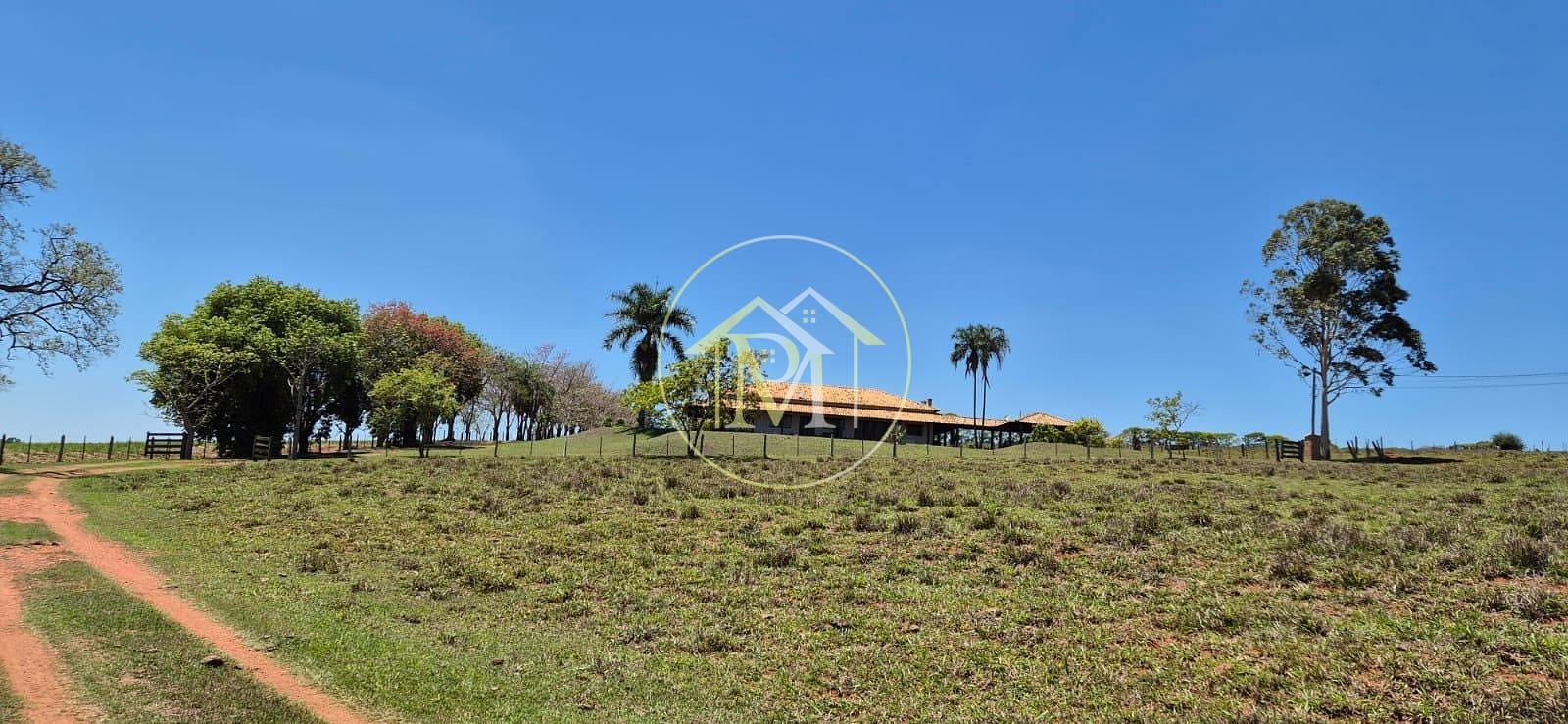 Fazenda, 29 hectares - Foto 44