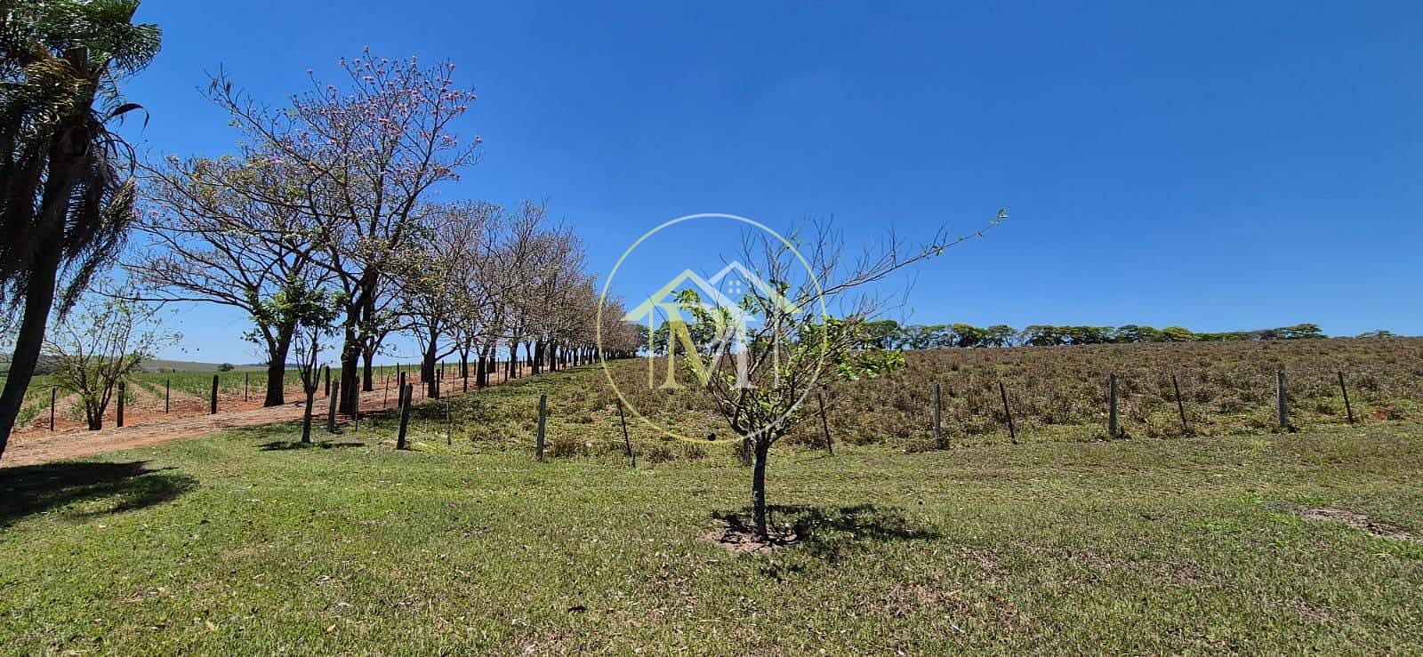 Fazenda, 29 hectares - Foto 70
