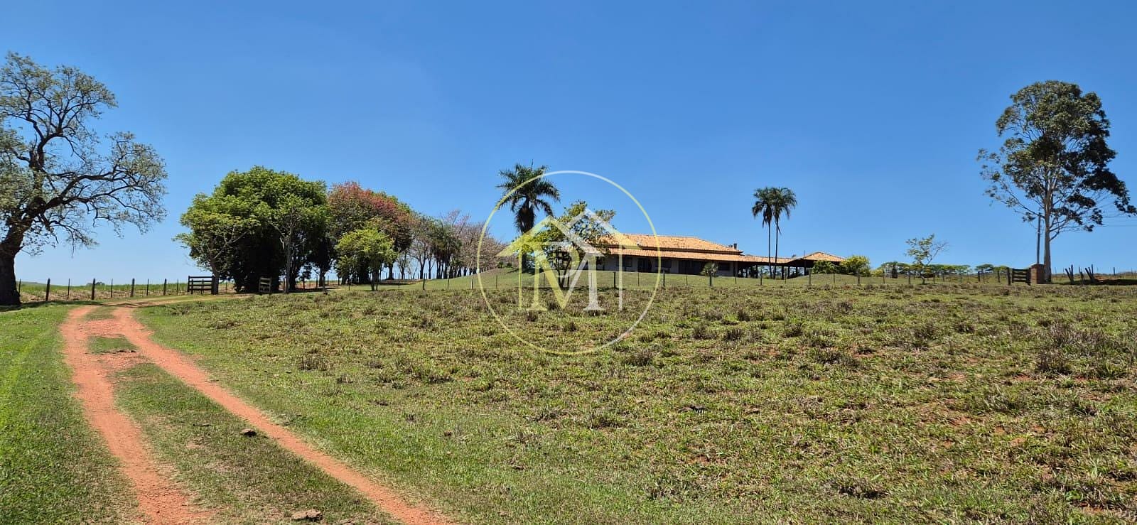 Fazenda, 29 hectares - Foto 83