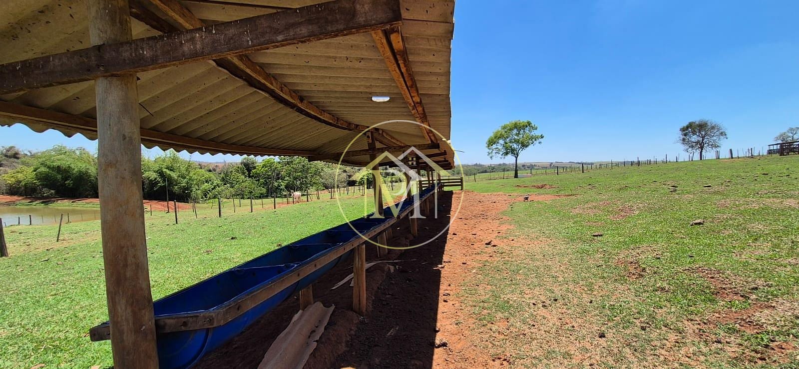 Fazenda, 29 hectares - Foto 86