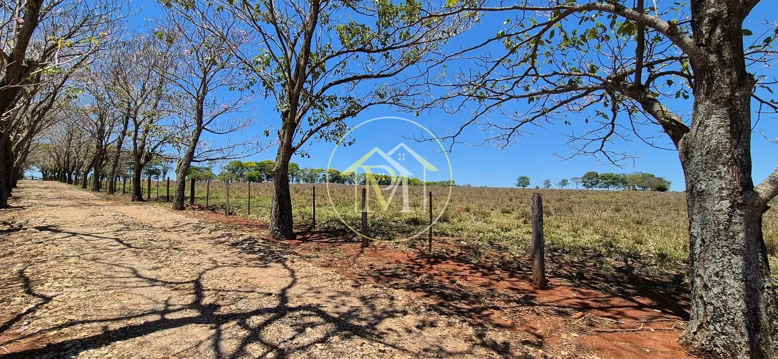 Fazenda, 29 hectares - Foto 48