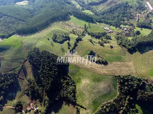 Sítio com 193600m², à venda, no bairro Interior em Concórdia