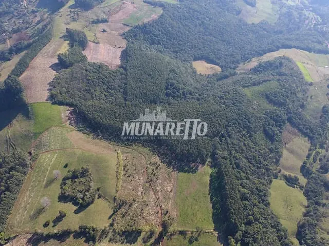 Sítio com 193600m², à venda, no bairro Interior em Concórdia