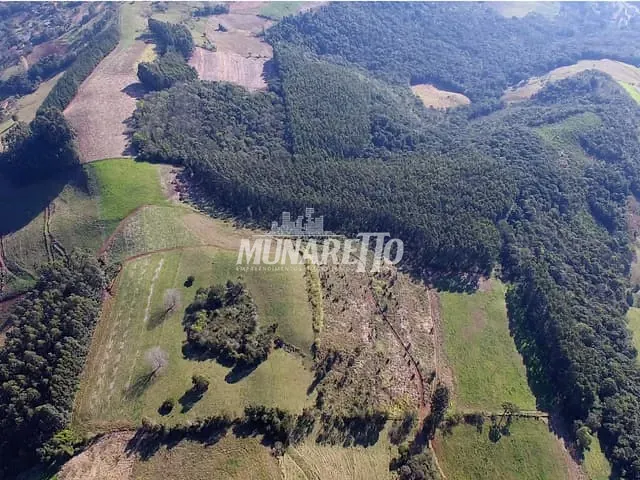 Sítio com 193600m², à venda, no bairro Interior em Concórdia